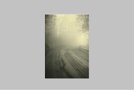 Foggy Mornings